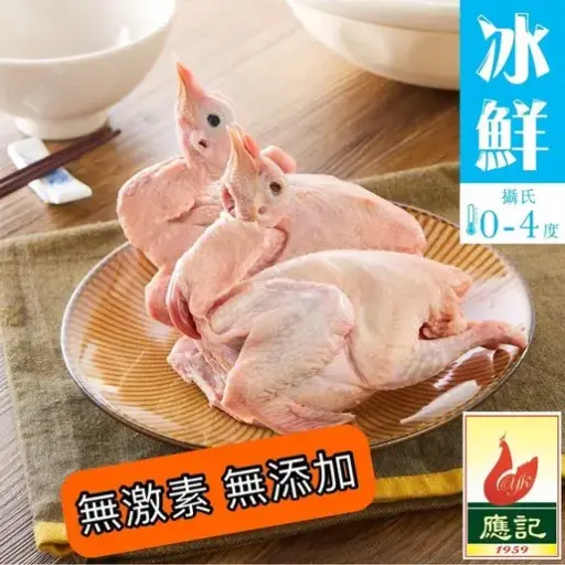 英傑 - 時奇鴿子（不含添加激素）